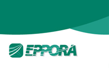 Eppora Software Branding & Web Design