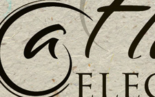 Logo Design